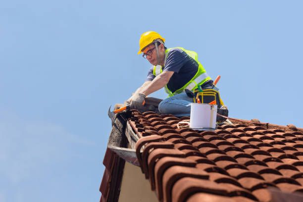 Best Metal Roofing Installation  in Palm Bay, FL